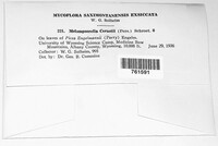 Image Associated With the Occurence